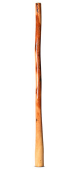 Ironbark Didgeridoo (IB282)